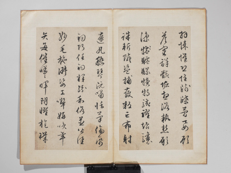 文徵明 1548年作 草书千字文册 - 图13