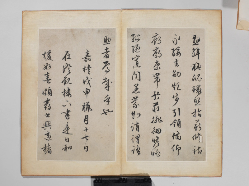 文徵明 1548年作 草书千字文册 - 图14