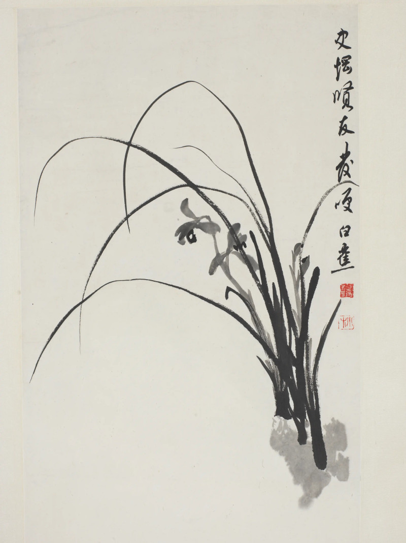 白蕉  兰花 - 图3