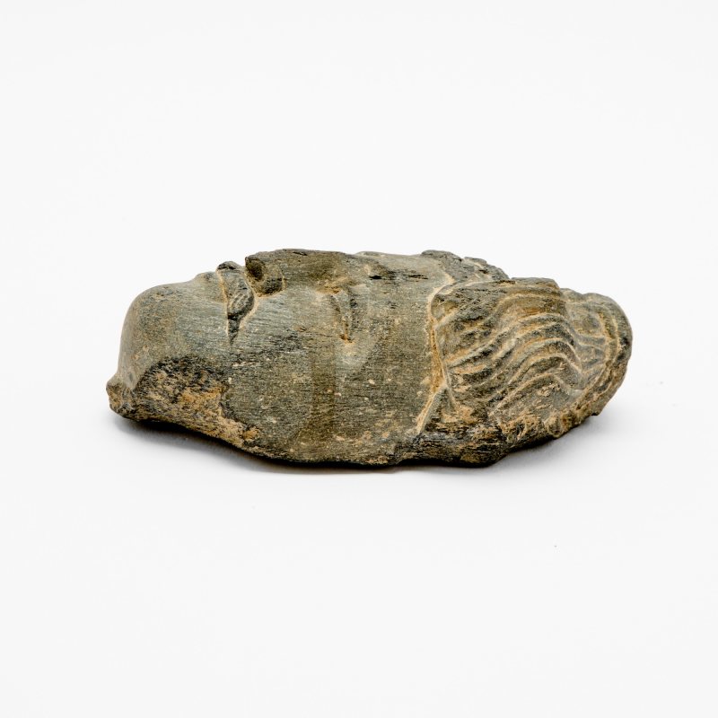 Two Gandharan Buddhistic Head Fragments - 图5