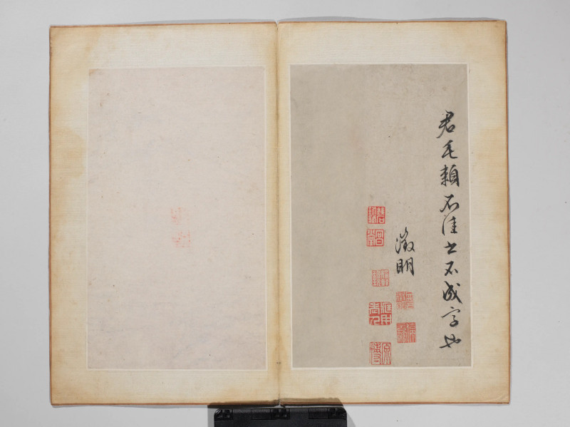文徵明 1548年作 草书千字文册 - 图15