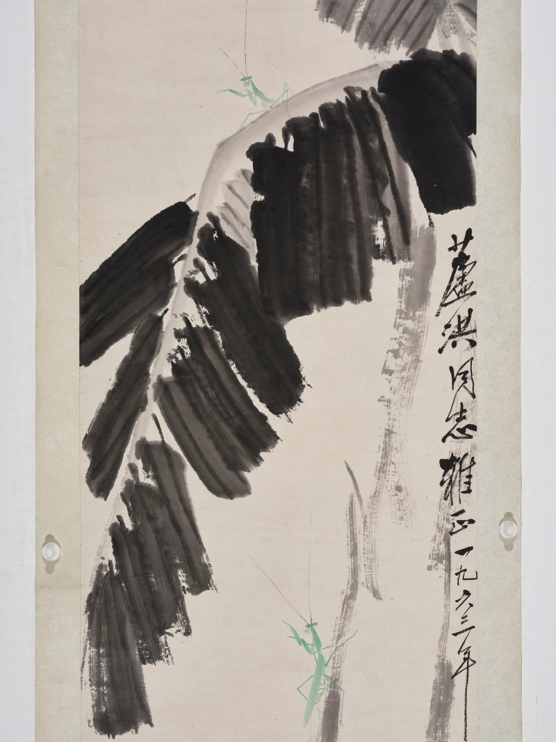 娄师白 1963年作 芭蕉 - 图7