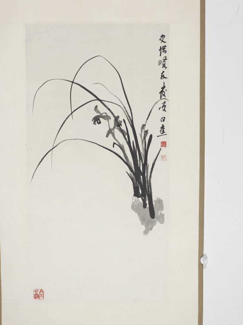 白蕉  兰花 - 图4