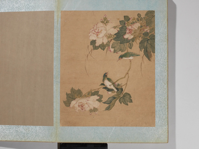 沈铨  花鸟册 - 图3