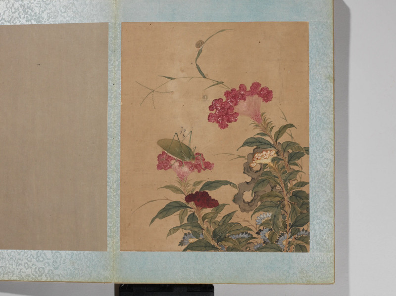 沈铨  花鸟册 - 图4
