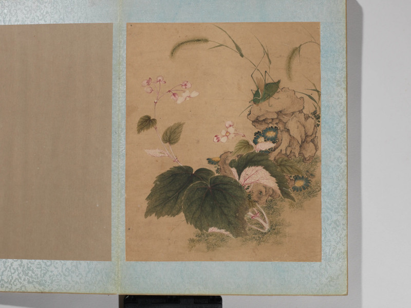 沈铨  花鸟册 - 图5