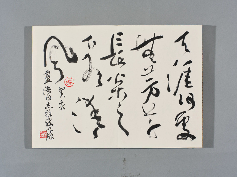 沈鹏*欧阳中石*武中奇*萧娴等  书画集锦册 - 图4