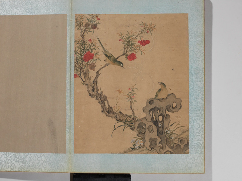 沈铨  花鸟册 - 图7