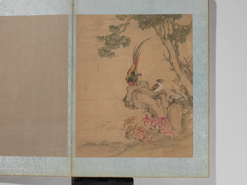 沈铨  花鸟册 - 图8
