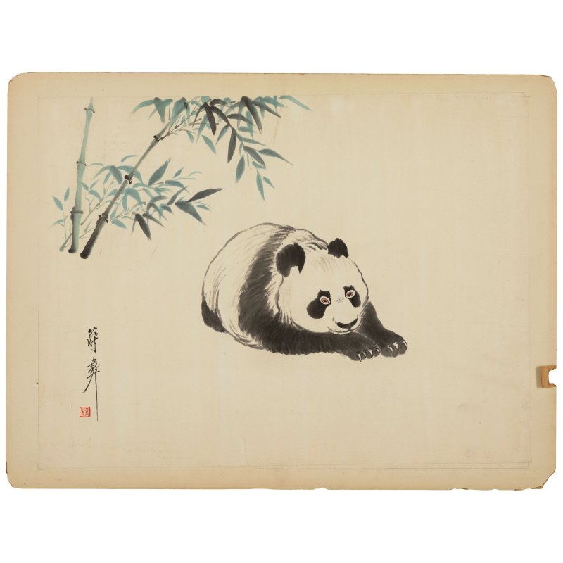 蔣彜（1903-1977）　熊貓　設色紙本　軟片五幀 | CHIANG YEE (JIANG YI, 1903-1977) - 图1