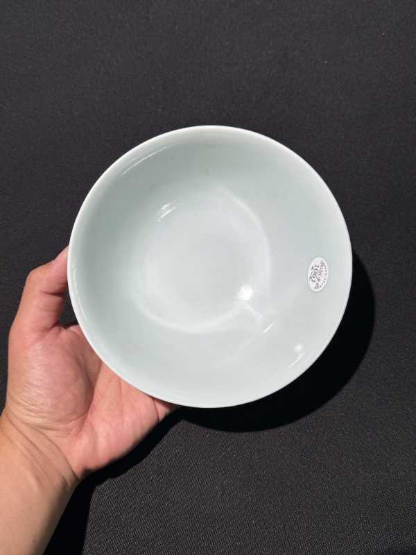 清康熙 釉里红龙纹碗一对 - 图19