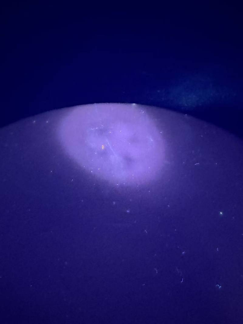 清光绪 黄地粉彩万寿无疆纹碗 - 图9