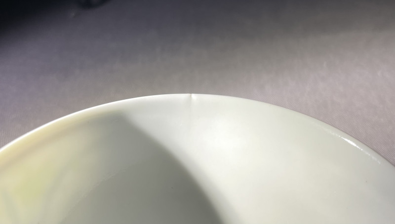 清光绪 粉彩洞石花鸟纹茶圆 - 图11