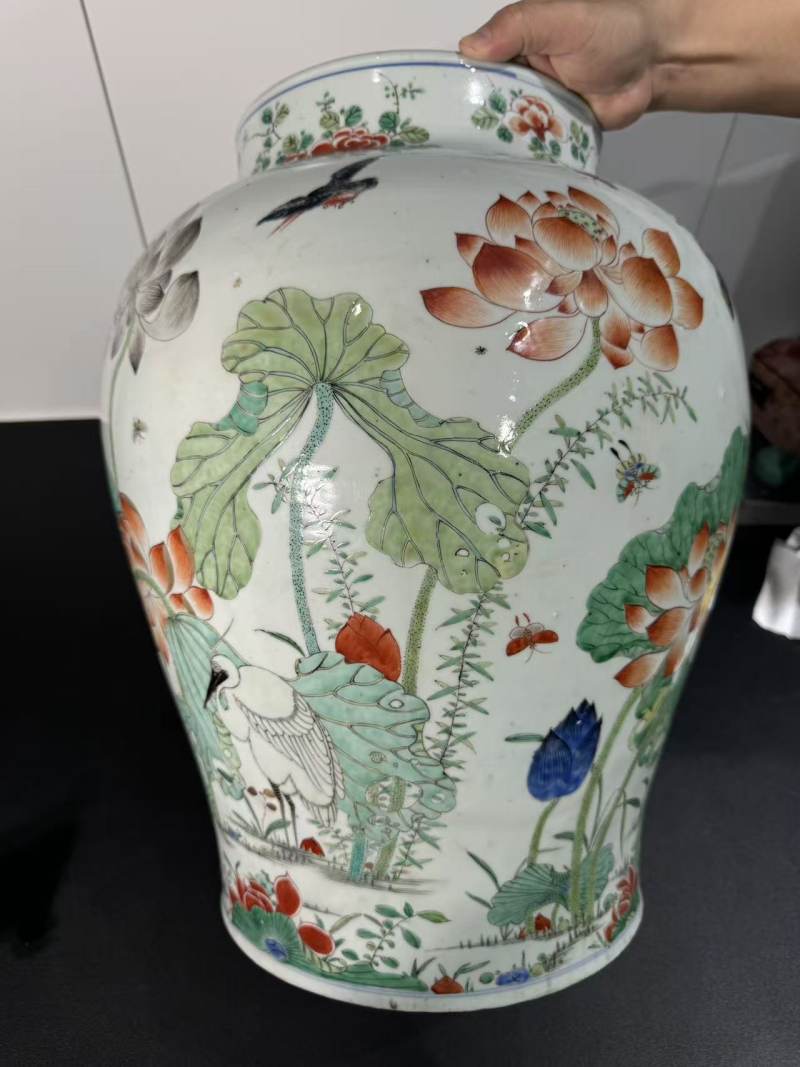 清康熙 五彩荷塘一路连科纹大罐 - 图6