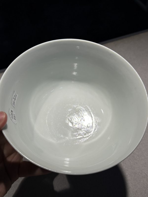 清道光 青花缠枝牡丹纹宫碗一对 - 图31