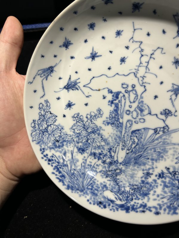 清康熙 青花淡描“飞黄腾达”图大盘 - 图3