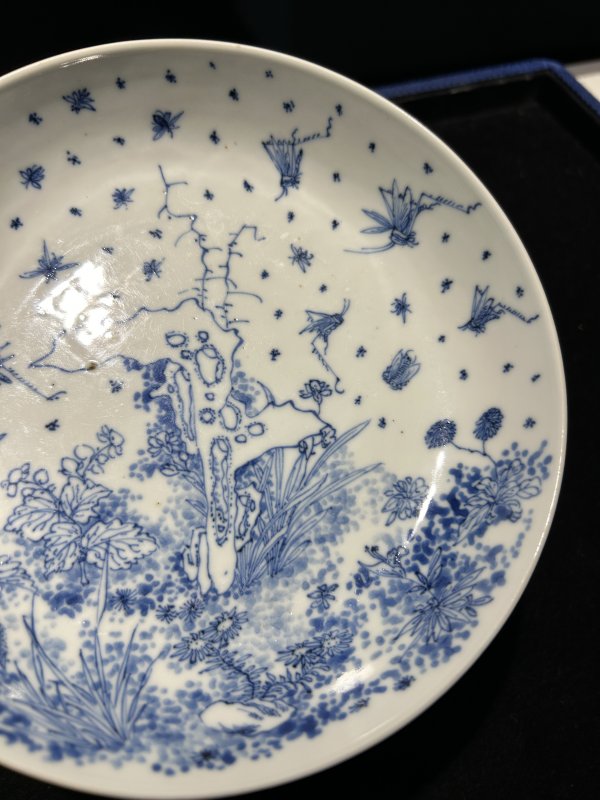 清康熙 青花淡描“飞黄腾达”图大盘 - 图4