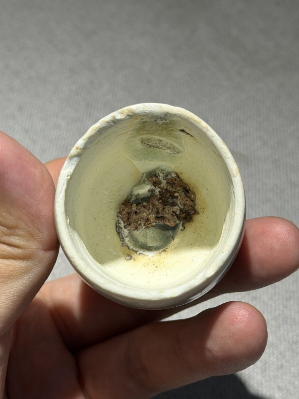 明 青釉刻花瓣形狮钮执壶 - 图19