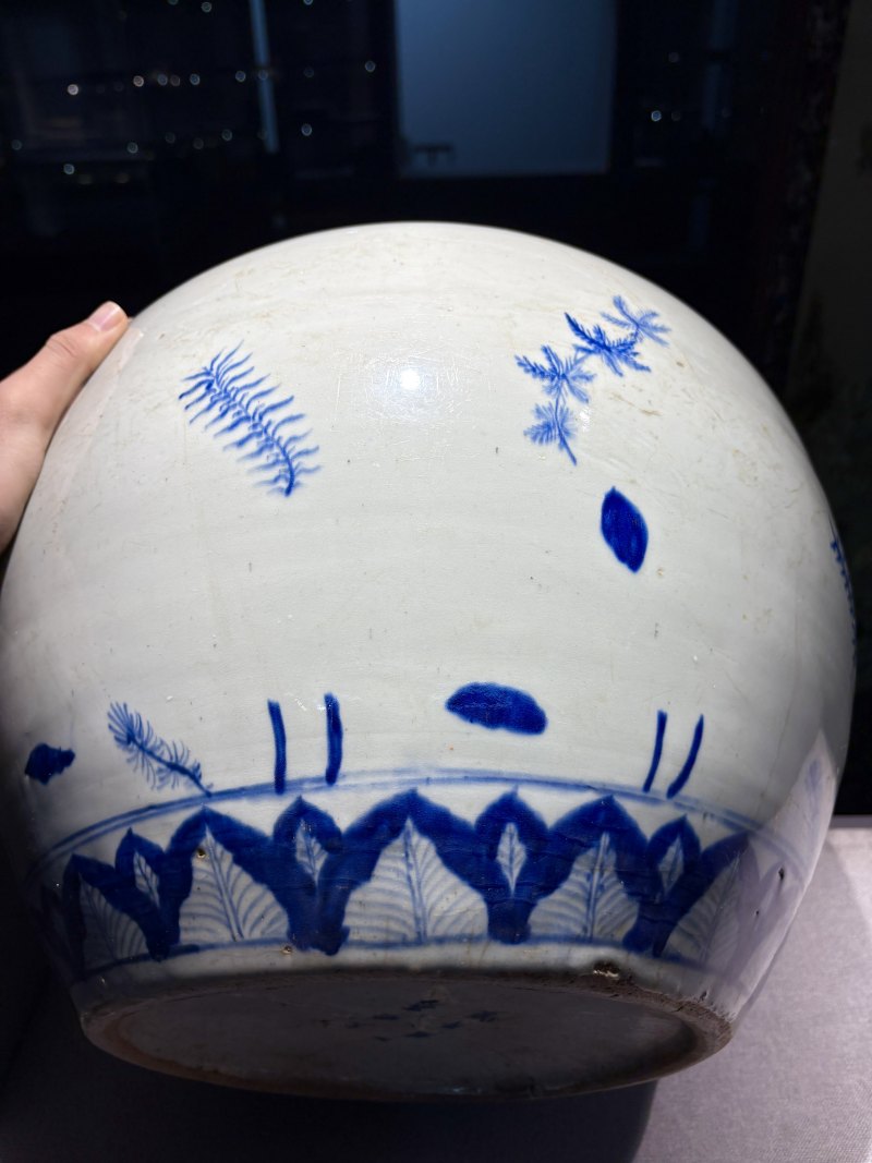 明嘉靖 青花蕉叶水藻纹大罐 - 图6