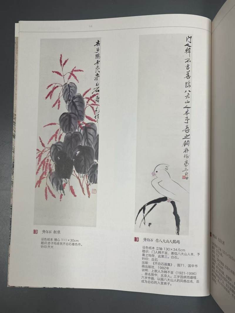 仿八大山人鹦鹉 - 图5