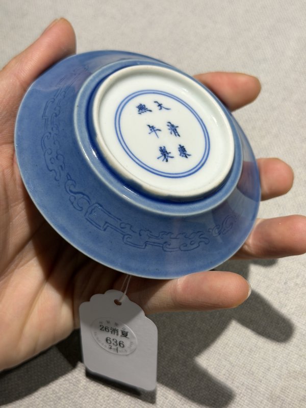 清康熙 天蓝釉暗刻夔龙纹碟一对 - 图15