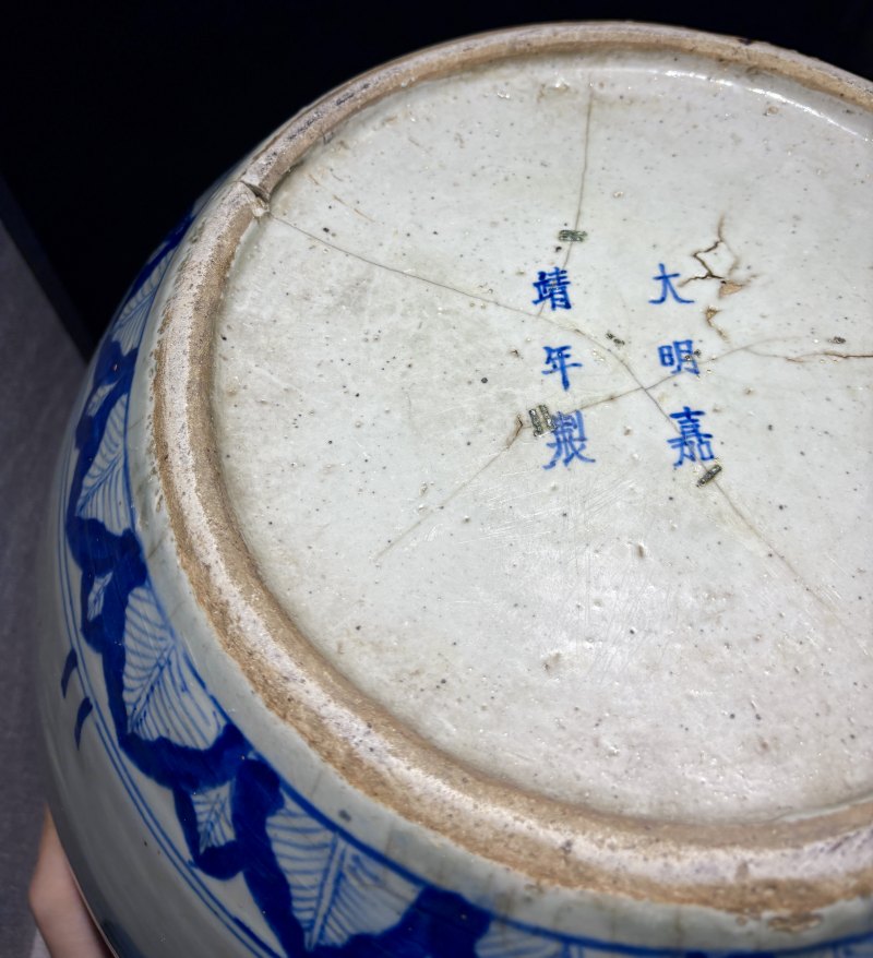 明嘉靖 青花蕉叶水藻纹大罐 - 图17