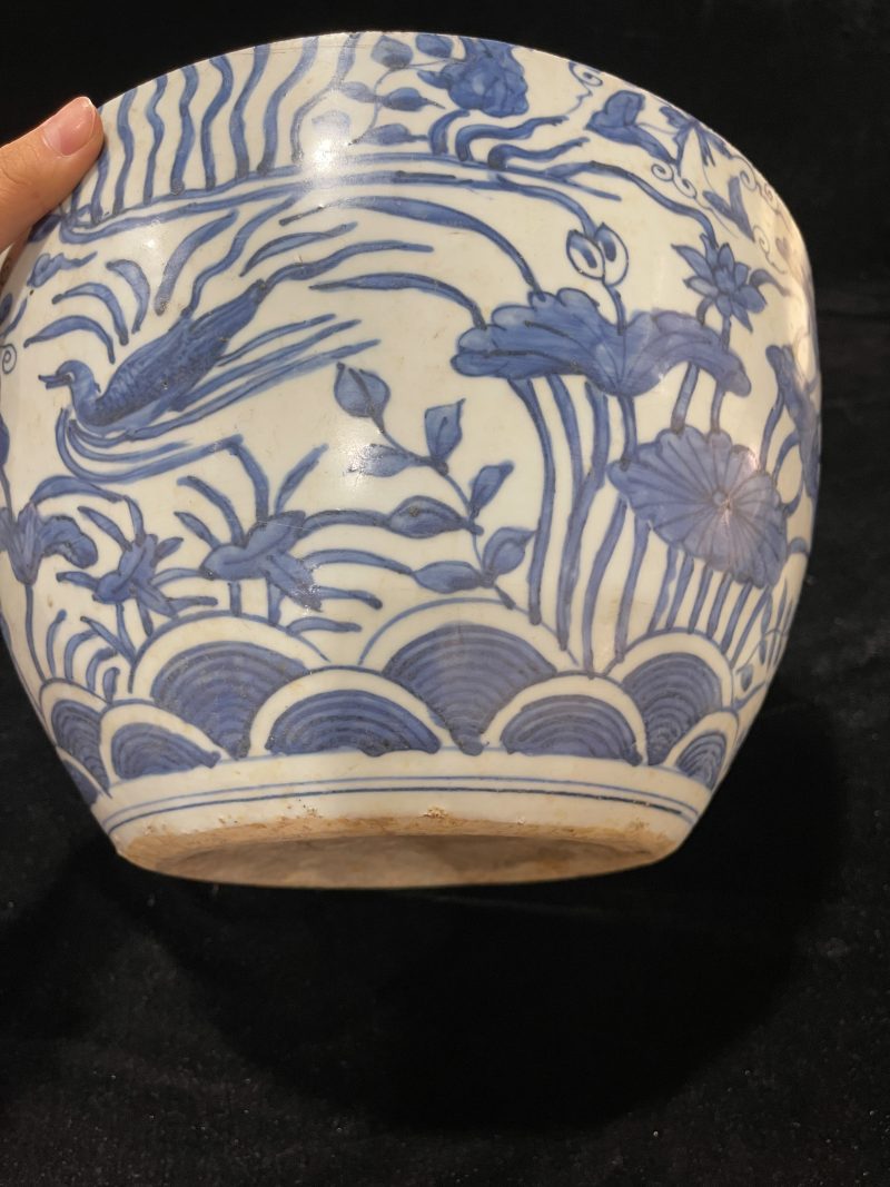 明万历 青花满池娇卷缸 - 图5