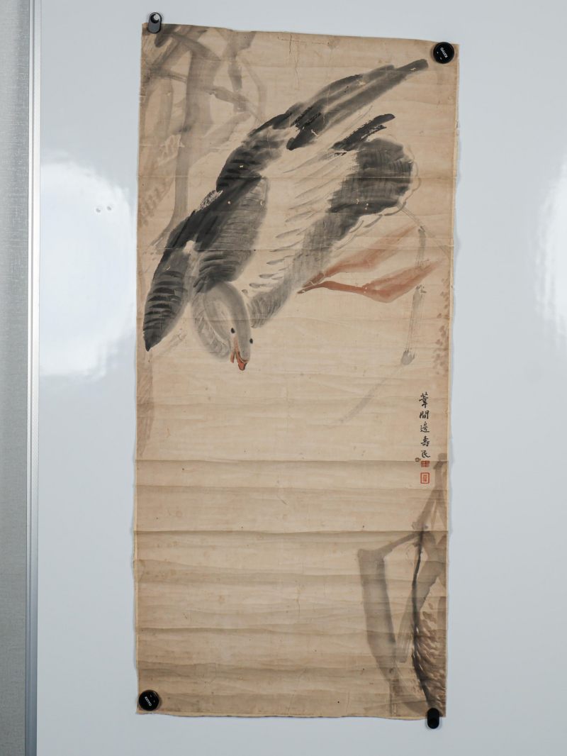  边寿民 （1684-1752）  清 花鸟 - 图2