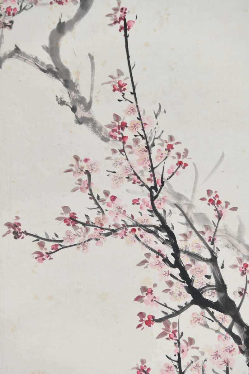  王师子 杏花鹧鸪 - 图6