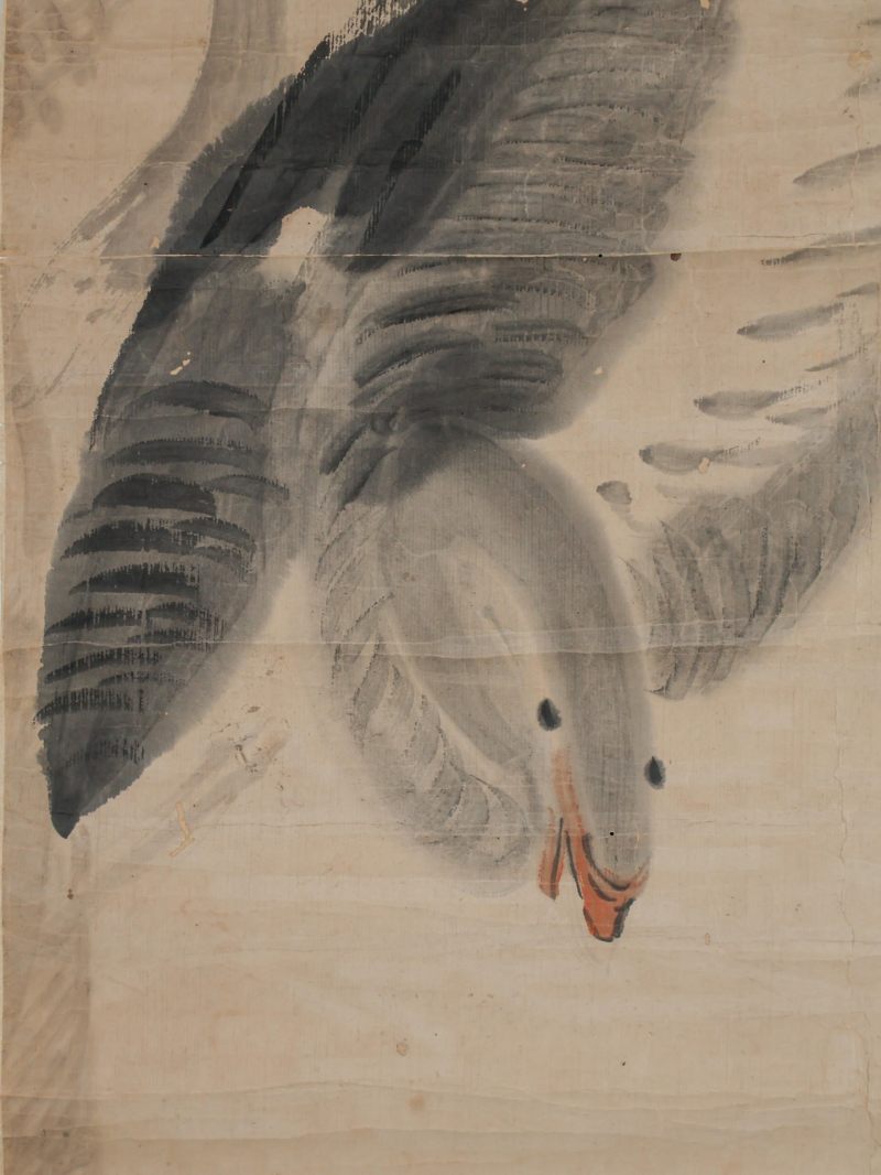  边寿民 （1684-1752）  清 花鸟 - 图6