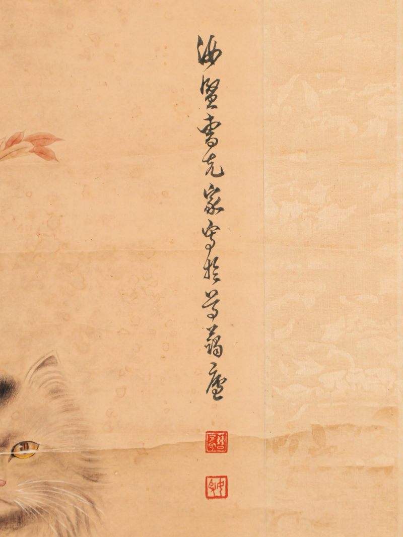  曹克家 （1906-1979）  现代 猫 - 图4