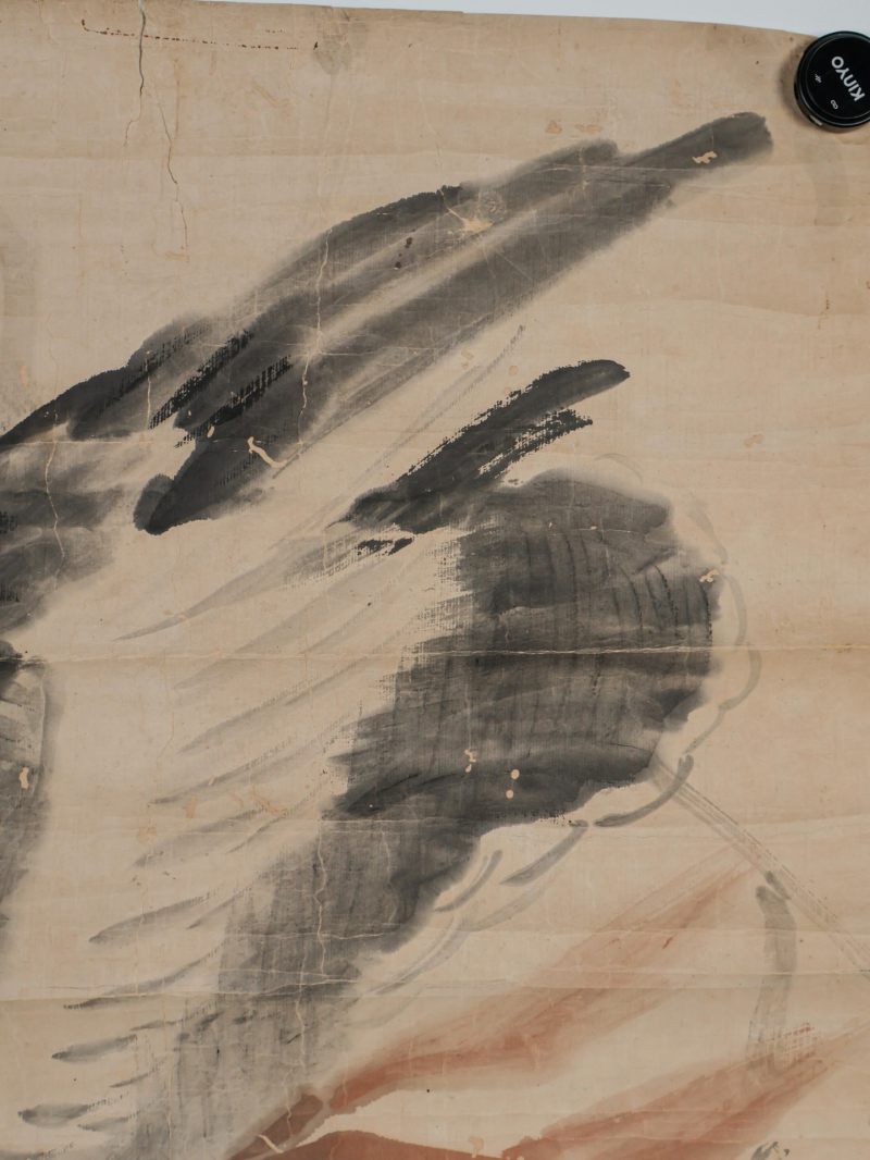  边寿民 （1684-1752）  清 花鸟 - 图8
