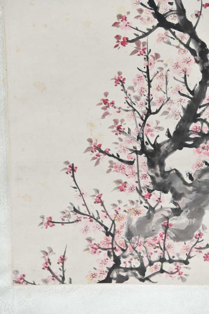  王师子 杏花鹧鸪 - 图4