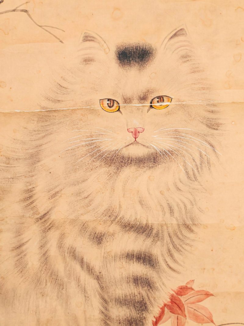  曹克家 （1906-1979）  现代 猫 - 图7