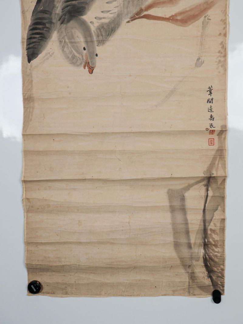  边寿民 （1684-1752）  清 花鸟 - 图11