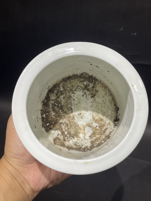 解放后 粉彩花卉诗文笔筒 - 图5