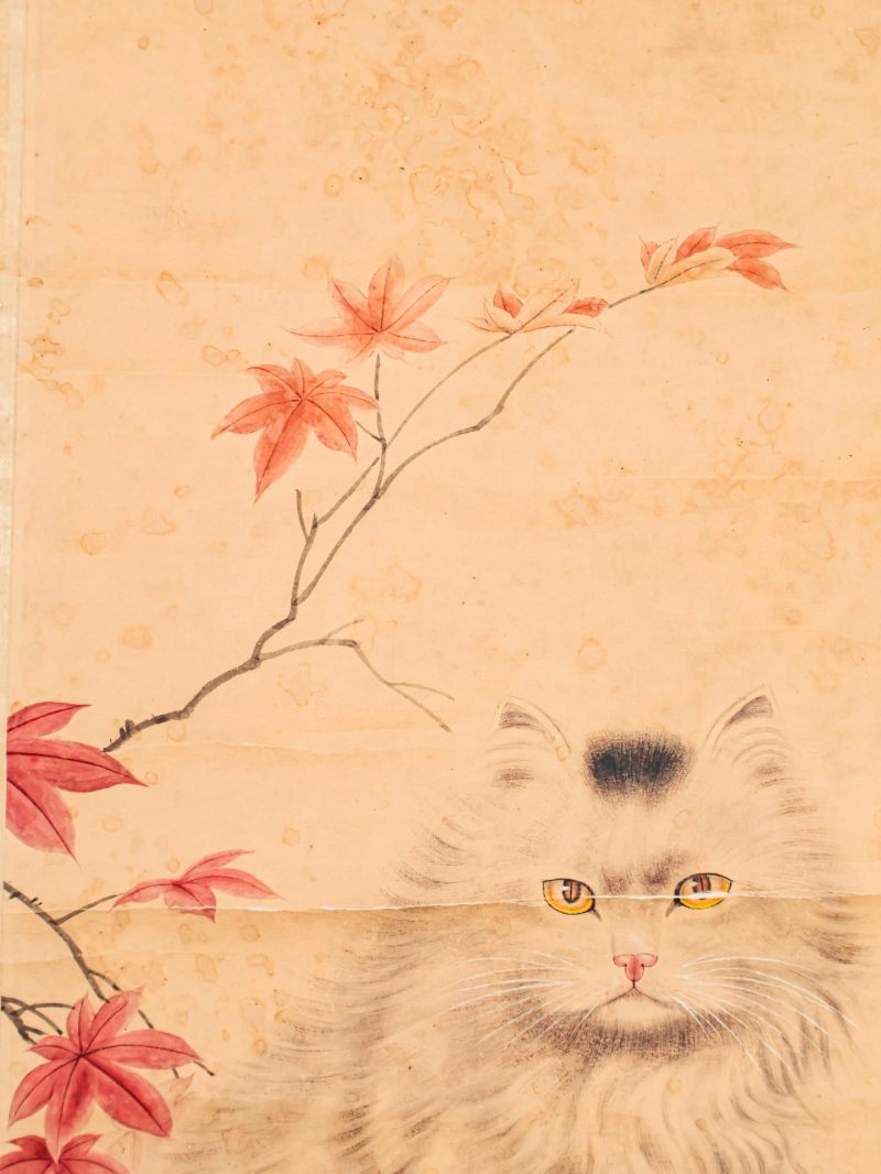  曹克家 （1906-1979）  现代 猫 - 图11