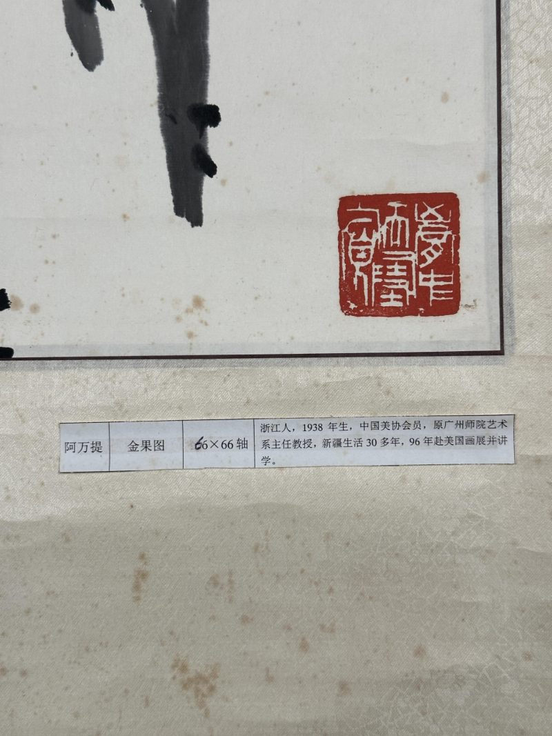  阿万提  现代 金果 - 图11