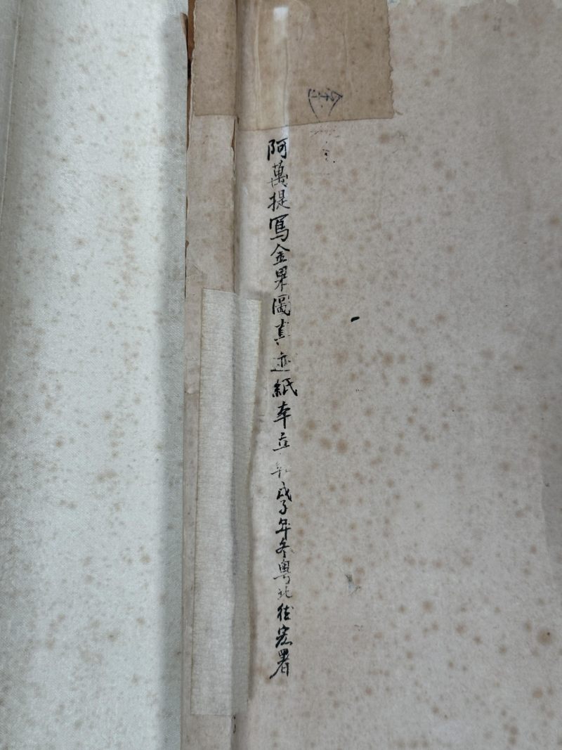 阿万提  现代 金果 - 图13