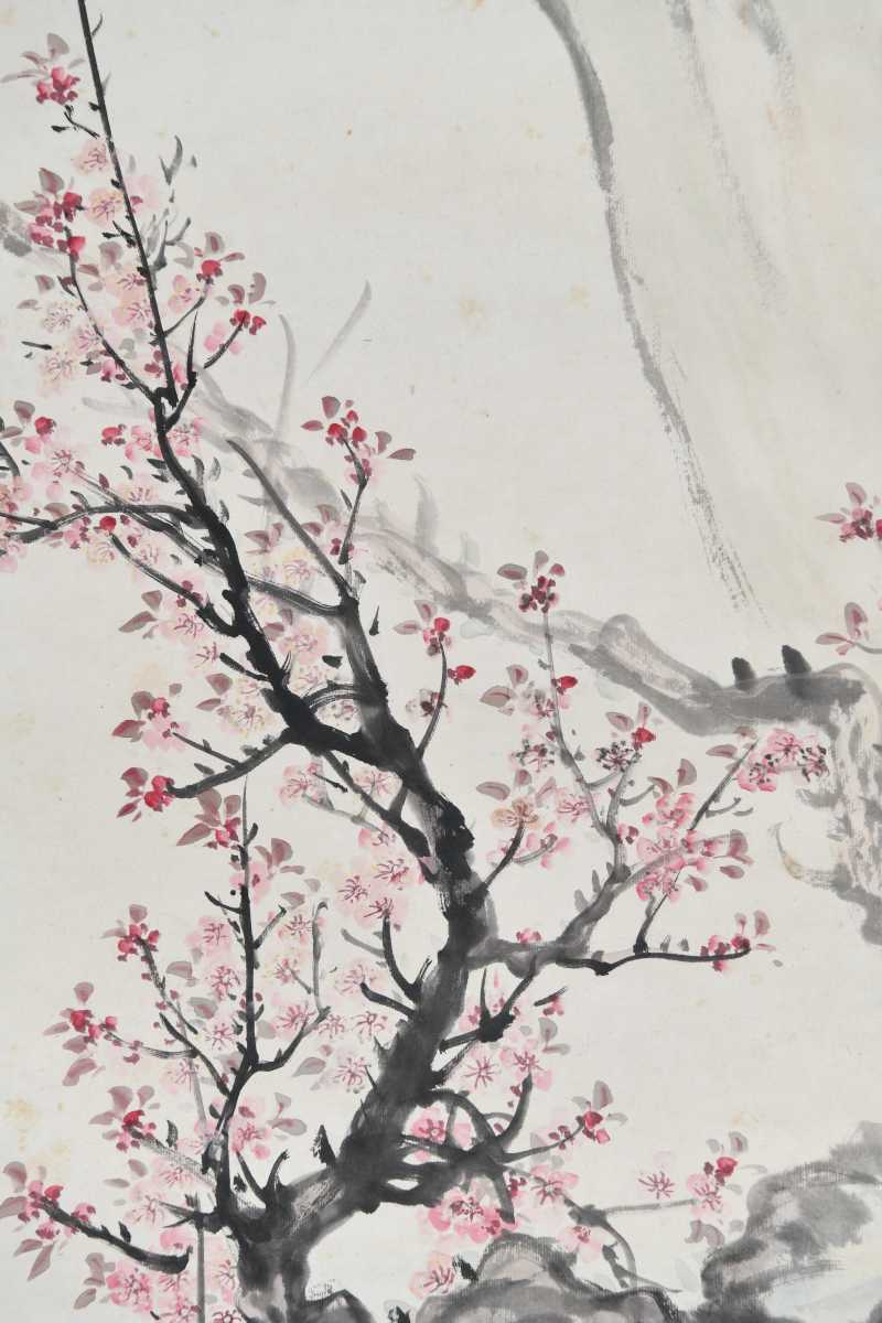  王师子 杏花鹧鸪 - 图5