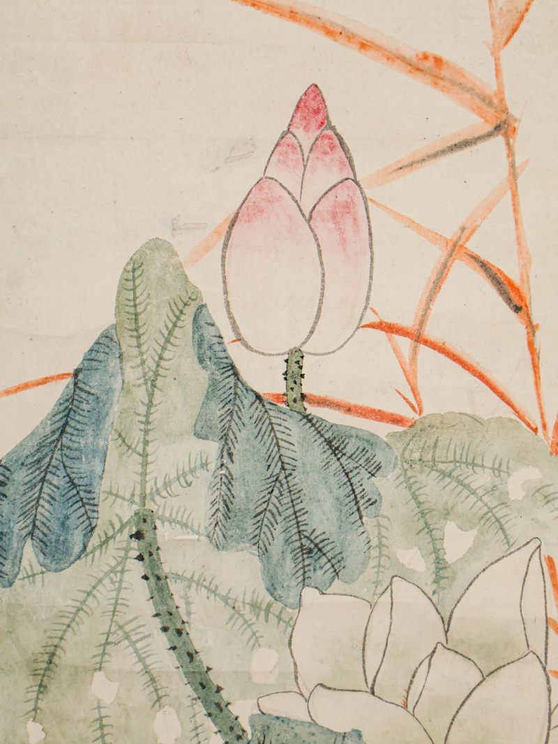  张熊 （1803-1886）  清 荷花 - 图8