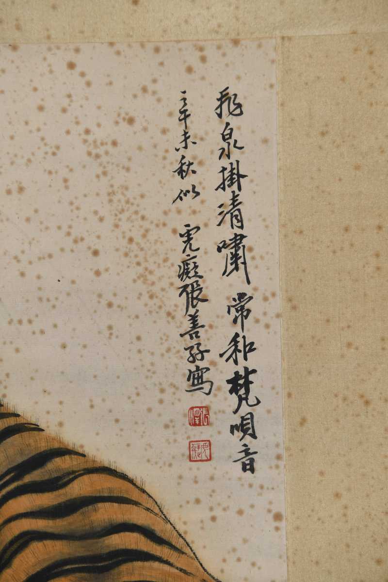  张善孖 虎 - 图4