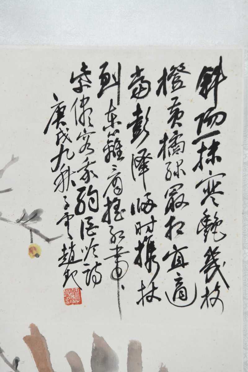  赵子云 菊石图 - 图3