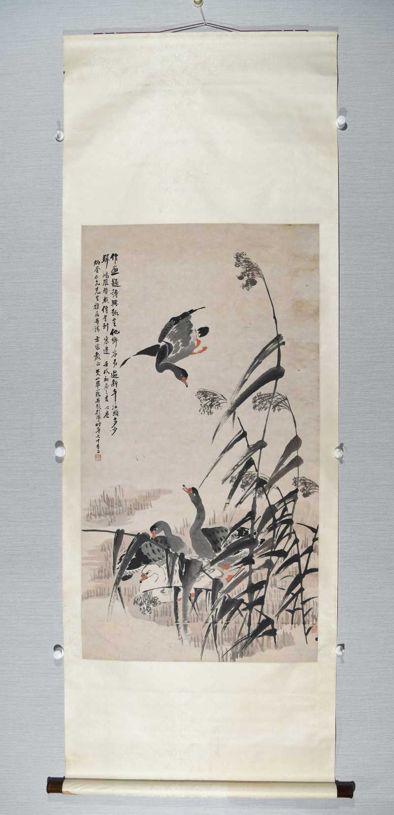  毕覃父 芦雁 - 图2