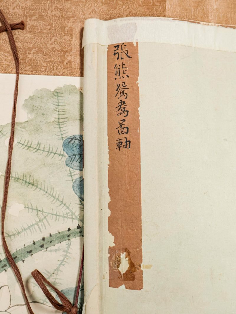  张熊 （1803-1886）  清 荷花 - 图12