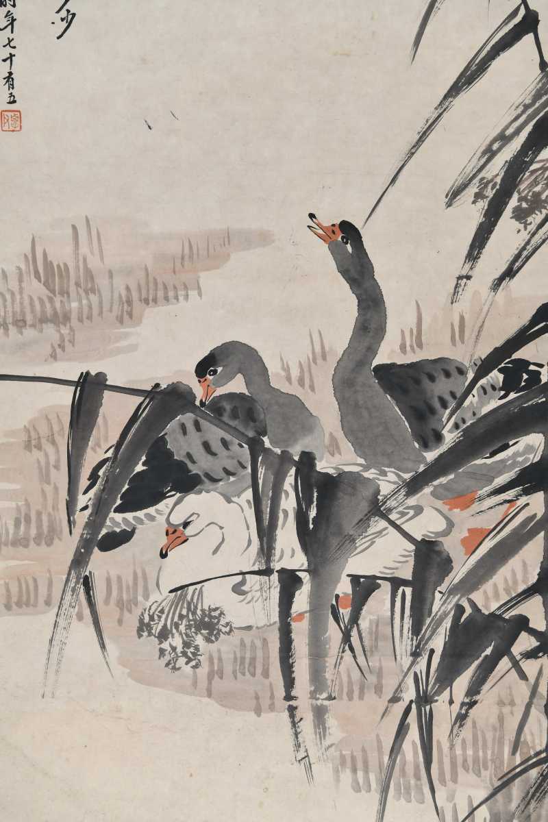  毕覃父 芦雁 - 图4