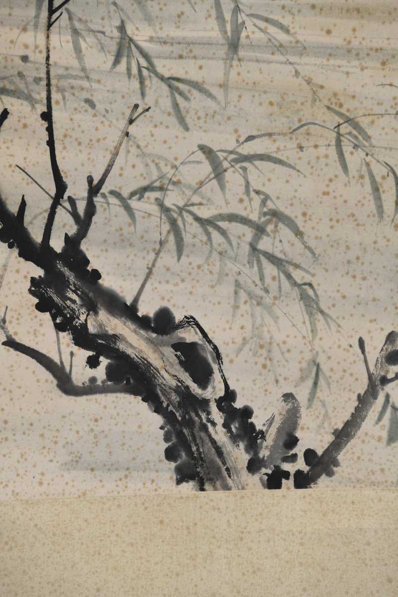  张善孖 虎 - 图7