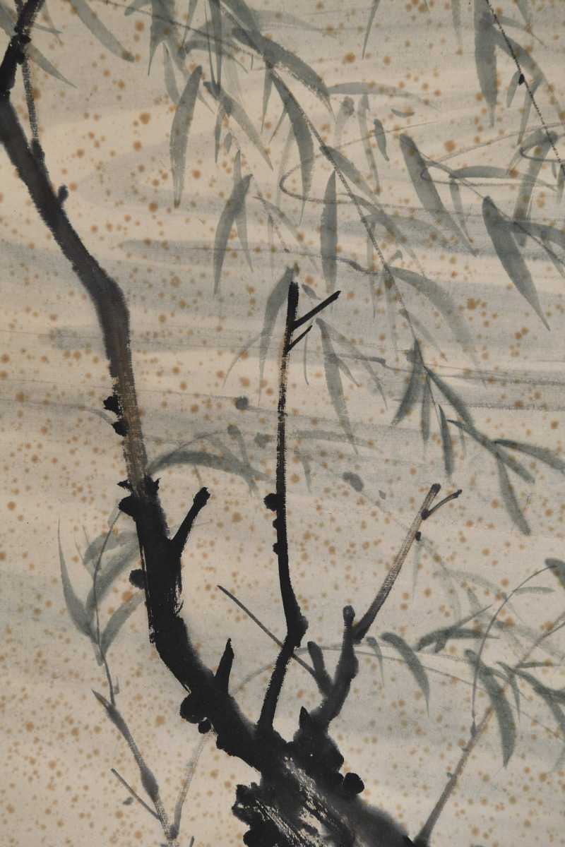  张善孖 虎 - 图8