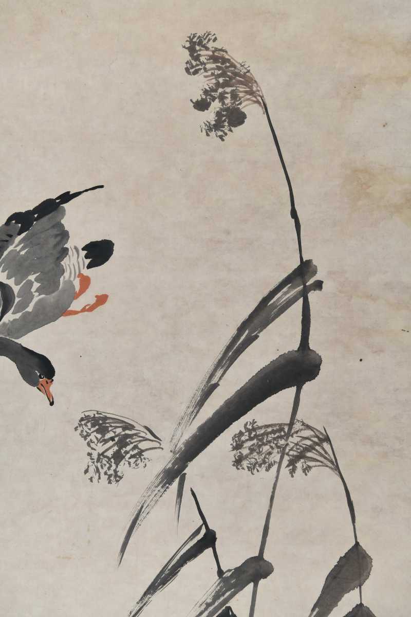  毕覃父 芦雁 - 图6