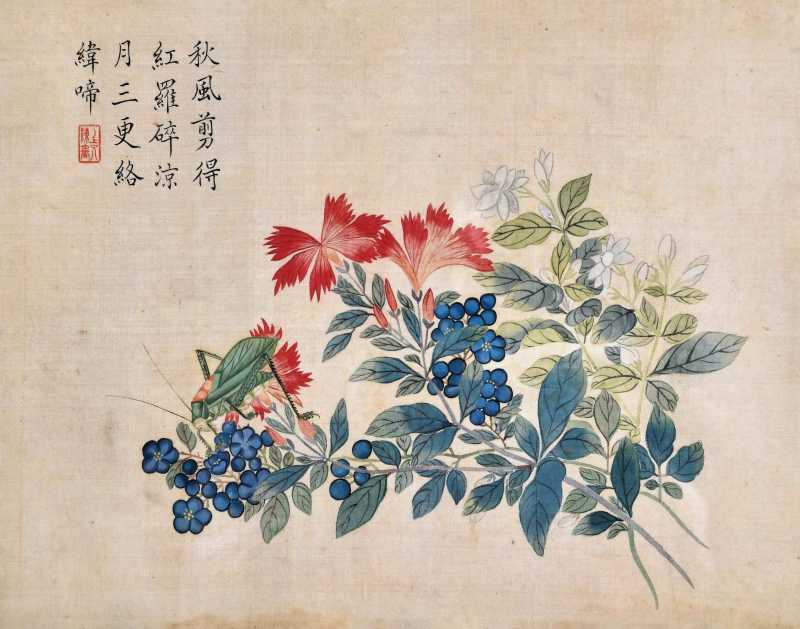  陈书 花卉 - 图1